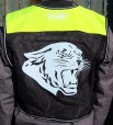 puma back PHOTO
